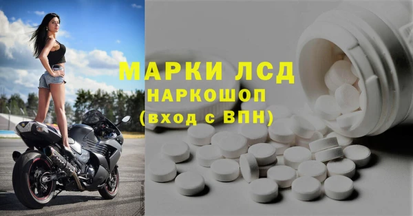 стафф Алексин
