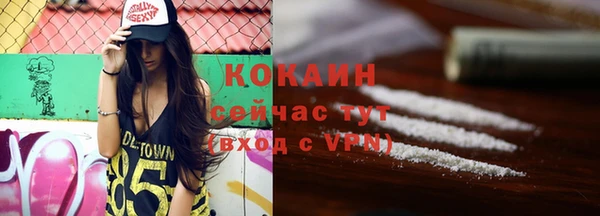 винт Абаза