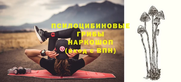 стафф Алексин