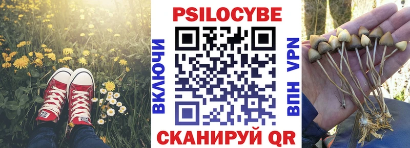 это состав  Морозовск  Галлюциногенные грибы мухоморы 