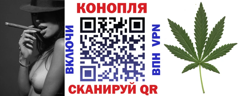 Шишки марихуана марихуана  кракен ССЫЛКА  Морозовск 